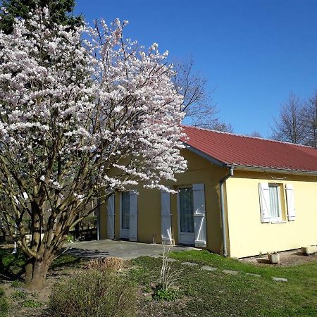 Maison De Manon Illhaeusern Εξωτερικό φωτογραφία