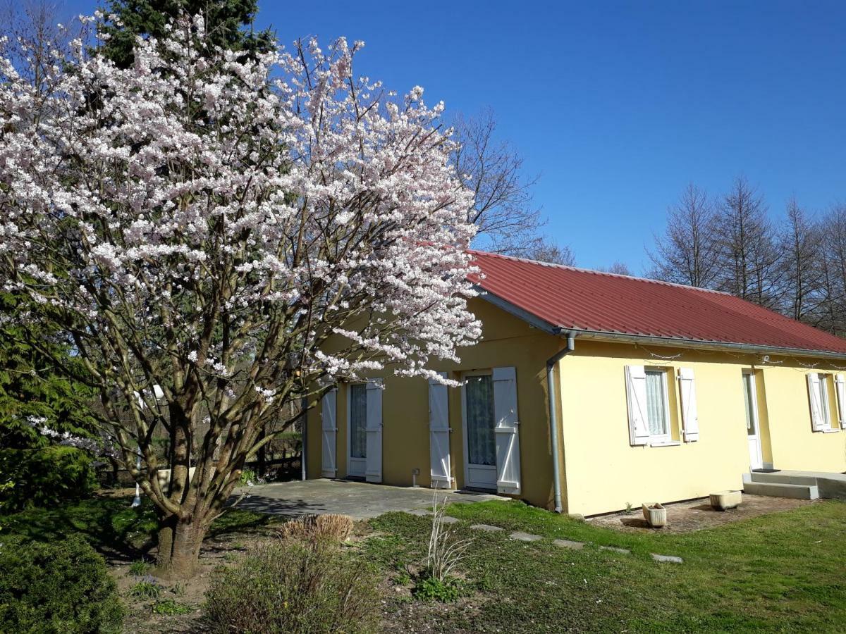 Maison De Manon Illhaeusern Εξωτερικό φωτογραφία